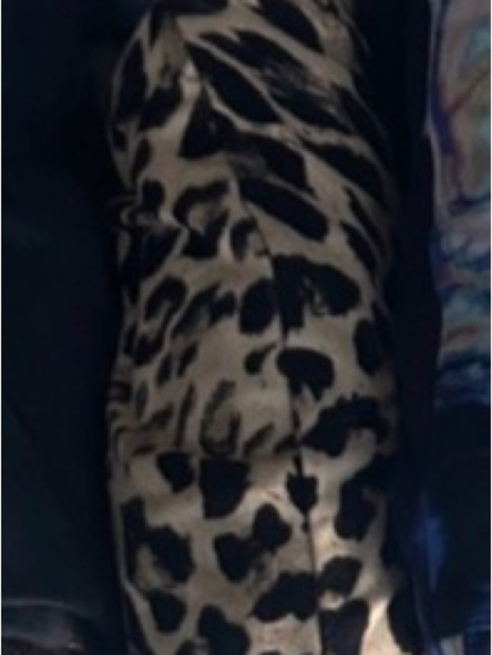 LuLaRoe Leopard Print Leggings in Black and Tan Tall and Curvy Brand New!